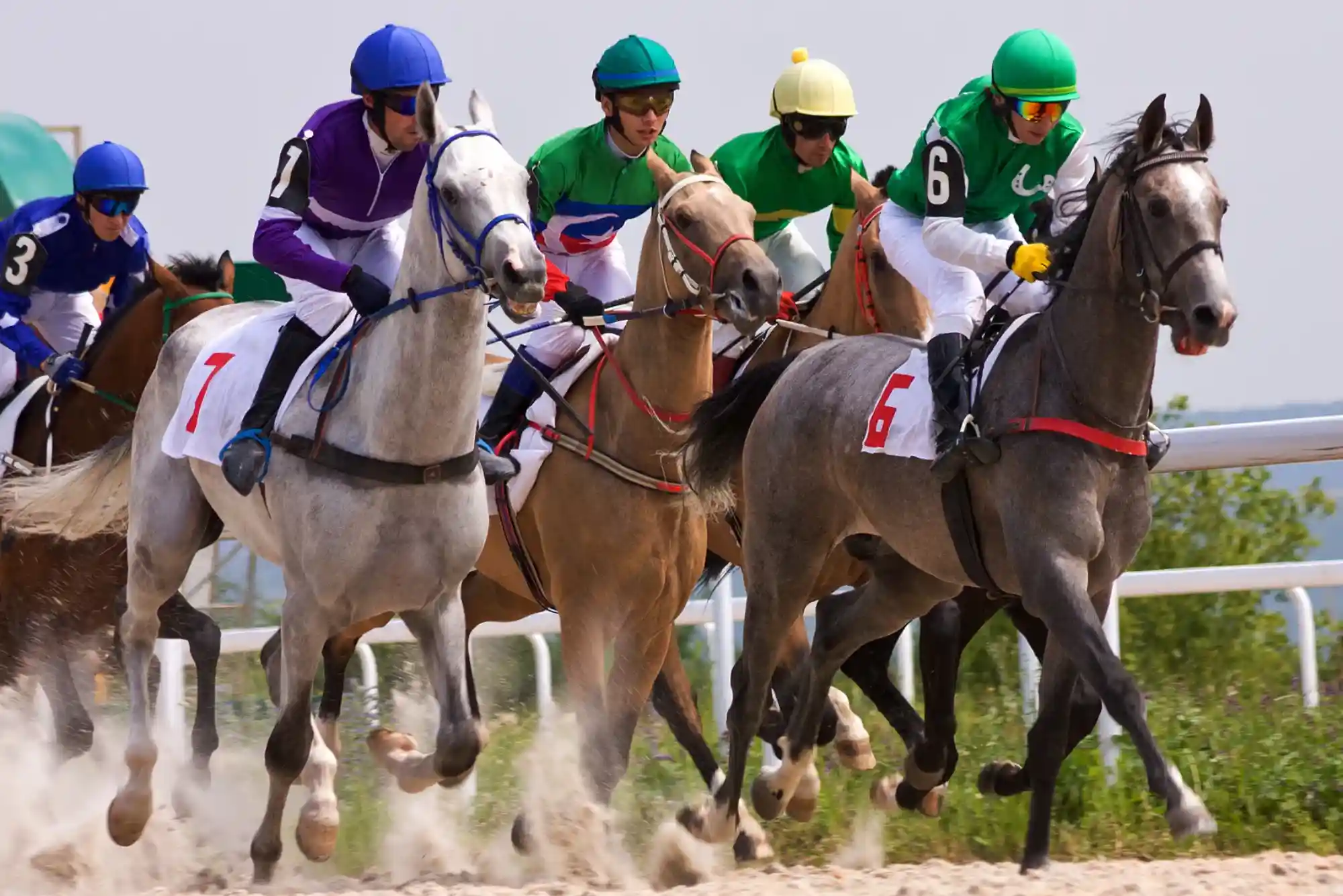 What Makes Horse Racing Betting Unique? What Makes Horse Racing Betting Unique?