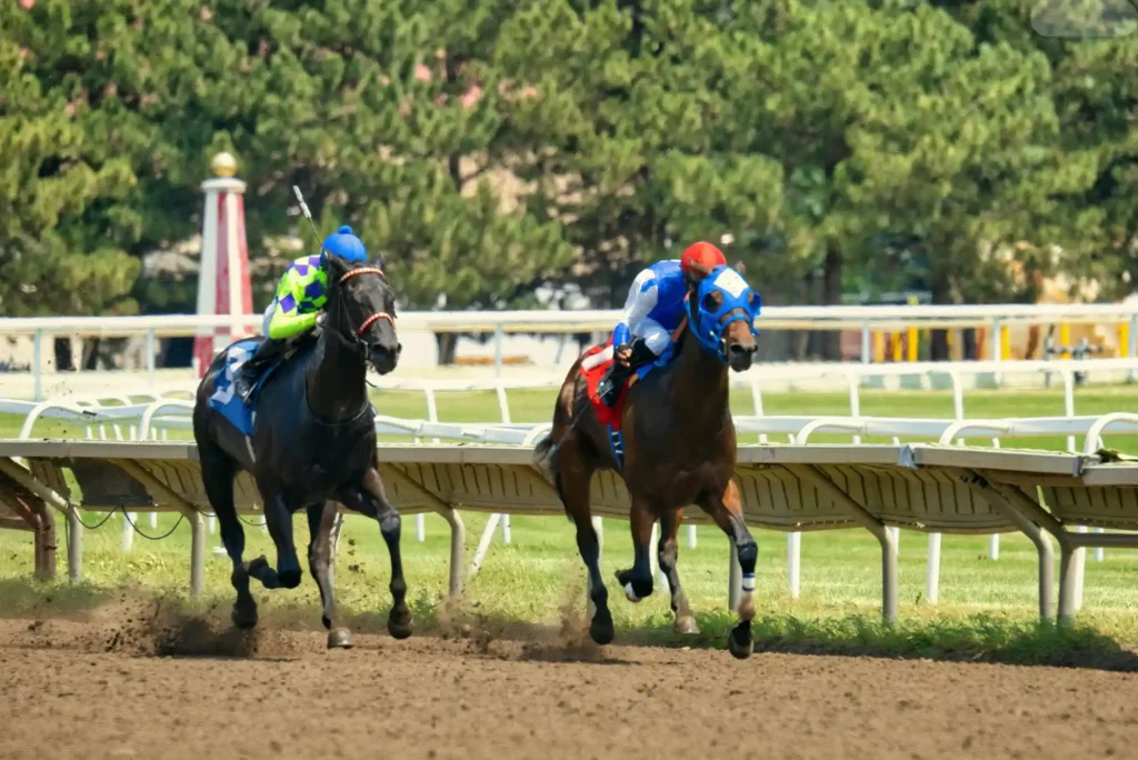 Mastering Horse Racing Betting for Maximum Profit